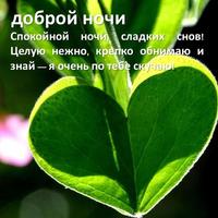 Good Night SMS Messages in Russian ภาพหน้าจอ 1