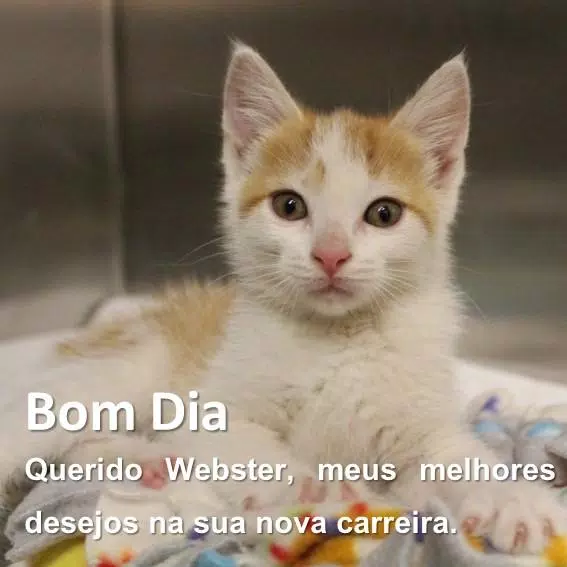 Download do APK de Frases de Bom Dia para Android Download do APK de Frases de Bom Dia para Android