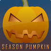 ”Season Pumpkin