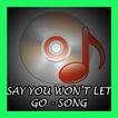 Say You Won't Let Go - Song