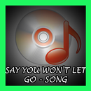 Say You Won't Let Go - Song APK