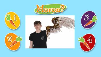 Moron 스크린샷 2