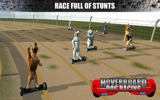 Race Dog on HoverBoard captura de pantalla 1