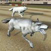 Wild Wolf Racing Game APK