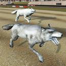 Wild Wolf Racing Game APK