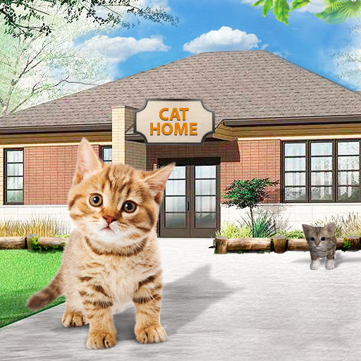 Cat Home: Kätzchen Daycare & Kitty Care Hotel