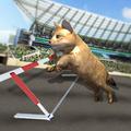 クレイジーキャットレーシング