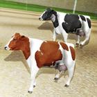 Crazy Cow Racing Zeichen