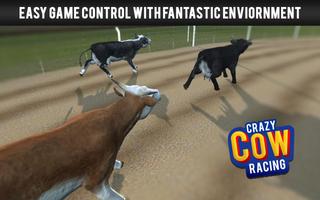 Crazy Cow Racing Plakat