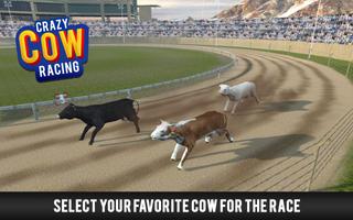 برنامه‌نما Crazy Cow Racing عکس از صفحه