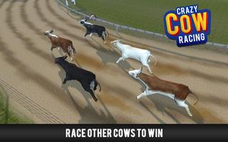 برنامه‌نما Crazy Cow Racing عکس از صفحه