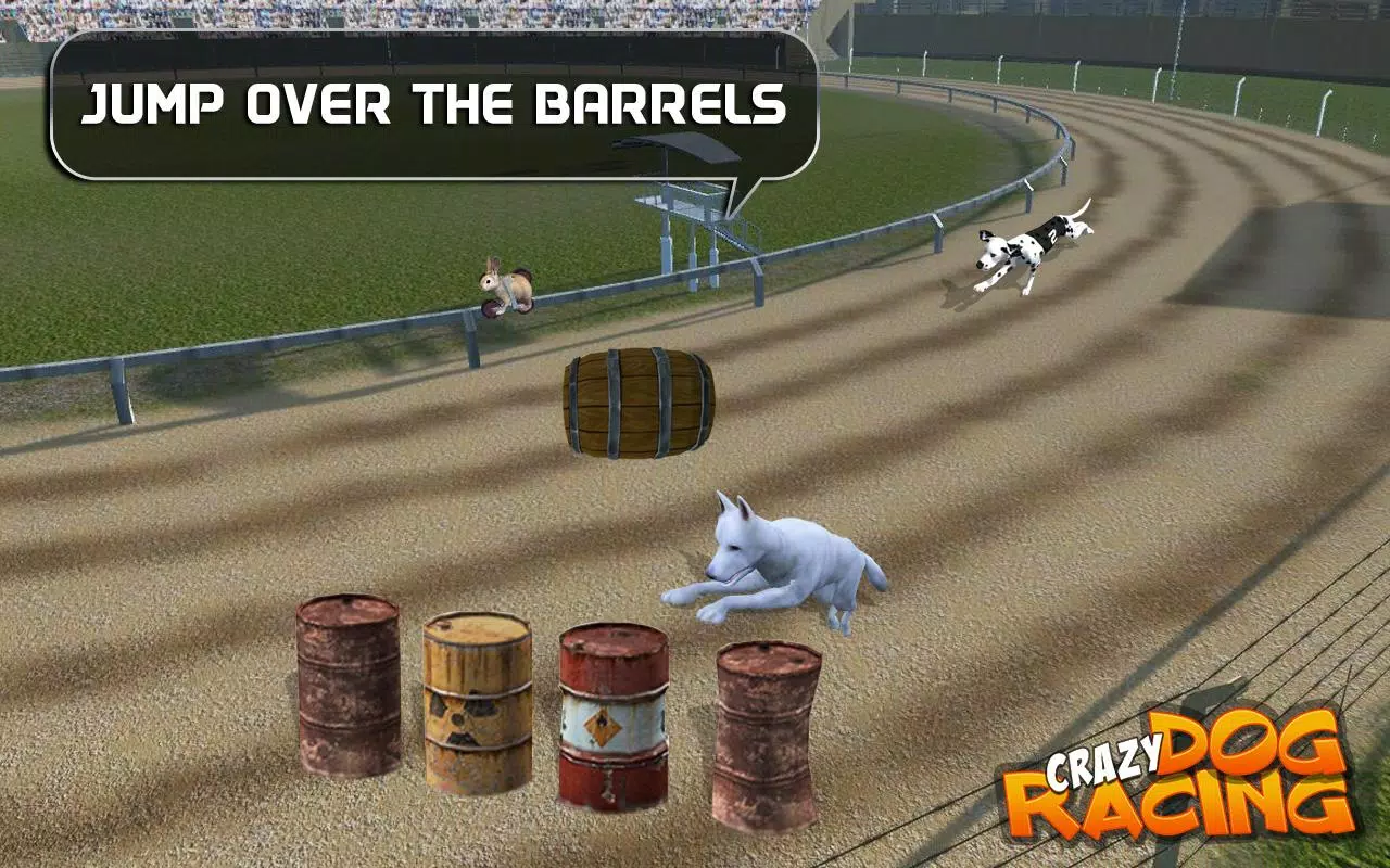 Crazy Dog Racing APK for Android Download