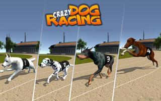 Crazy Dog Racing Cartaz