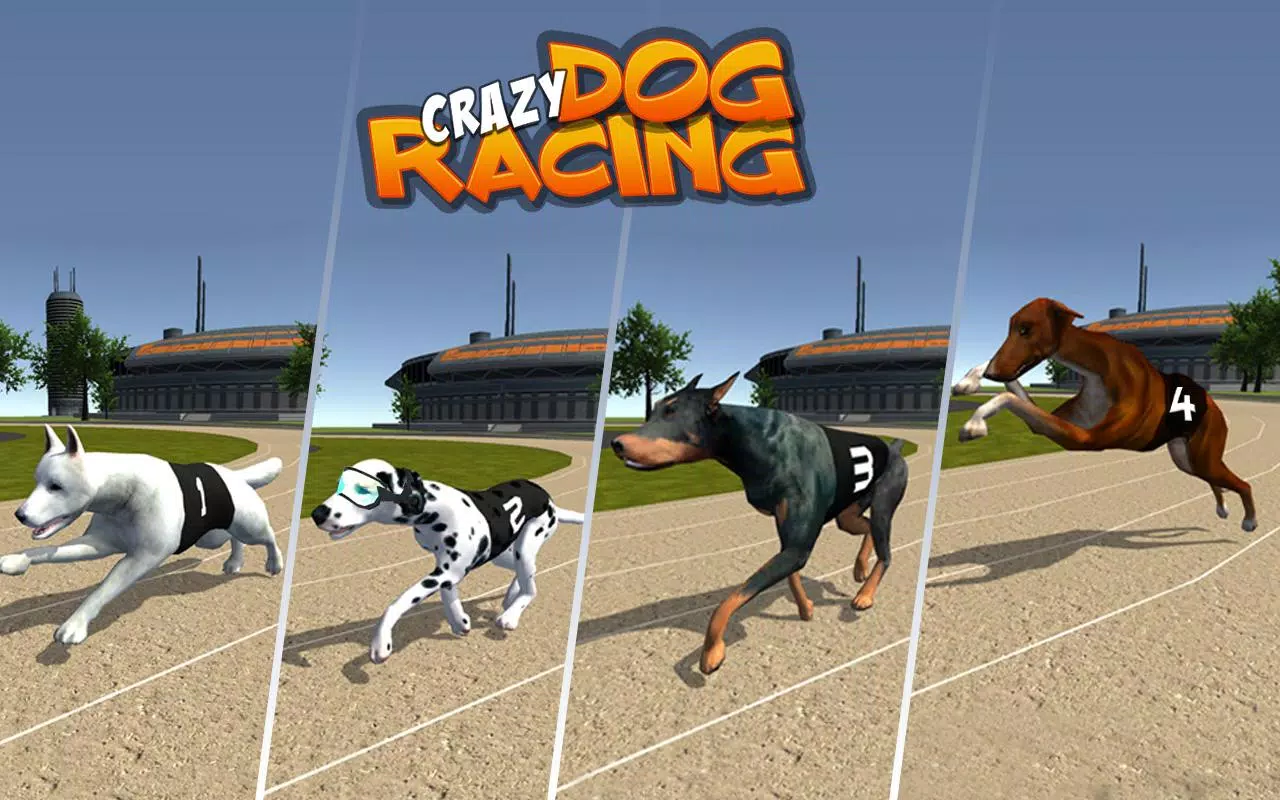 Crazy Dog Racing Fever Game, Running- Play Online Free Games 