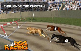 Crazy Dog Racing ảnh chụp màn hình 2