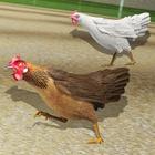 World Hen Racing Championship 2018 ikon