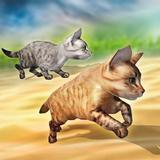 Fastest Cats Race - 100 Meter icon