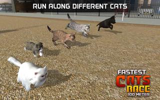 Fastest Cats Race - 100 Meter captura de pantalla 1