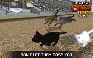 Fastest Cats Race - 100 Meter Screenshot 2