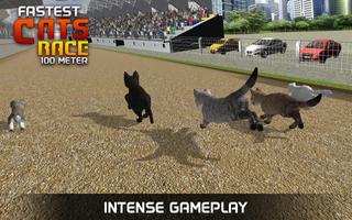 Fastest Cats Race - 100 Meter captura de pantalla 3