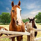 Mijn paard hotelresorts: train & care paarden-icoon