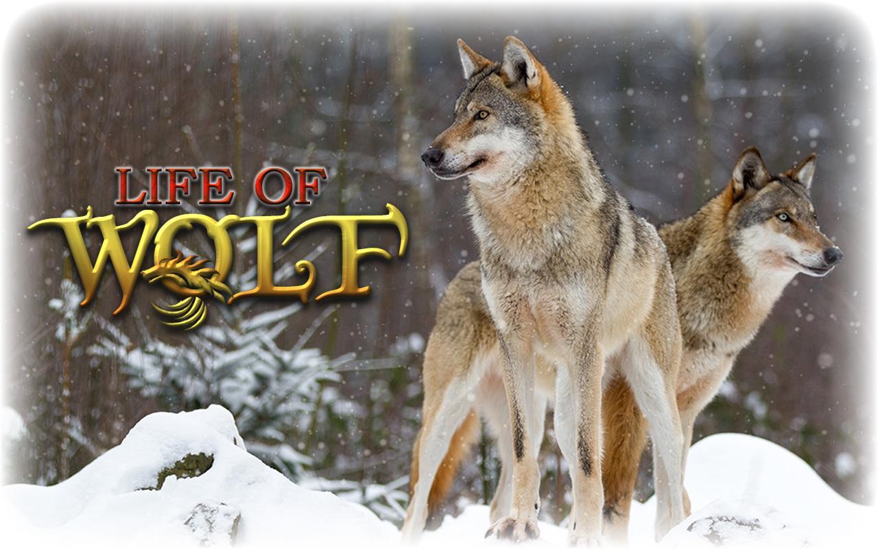 Animal Hunting Survival Game – Wolf Simulator APK for Android Download