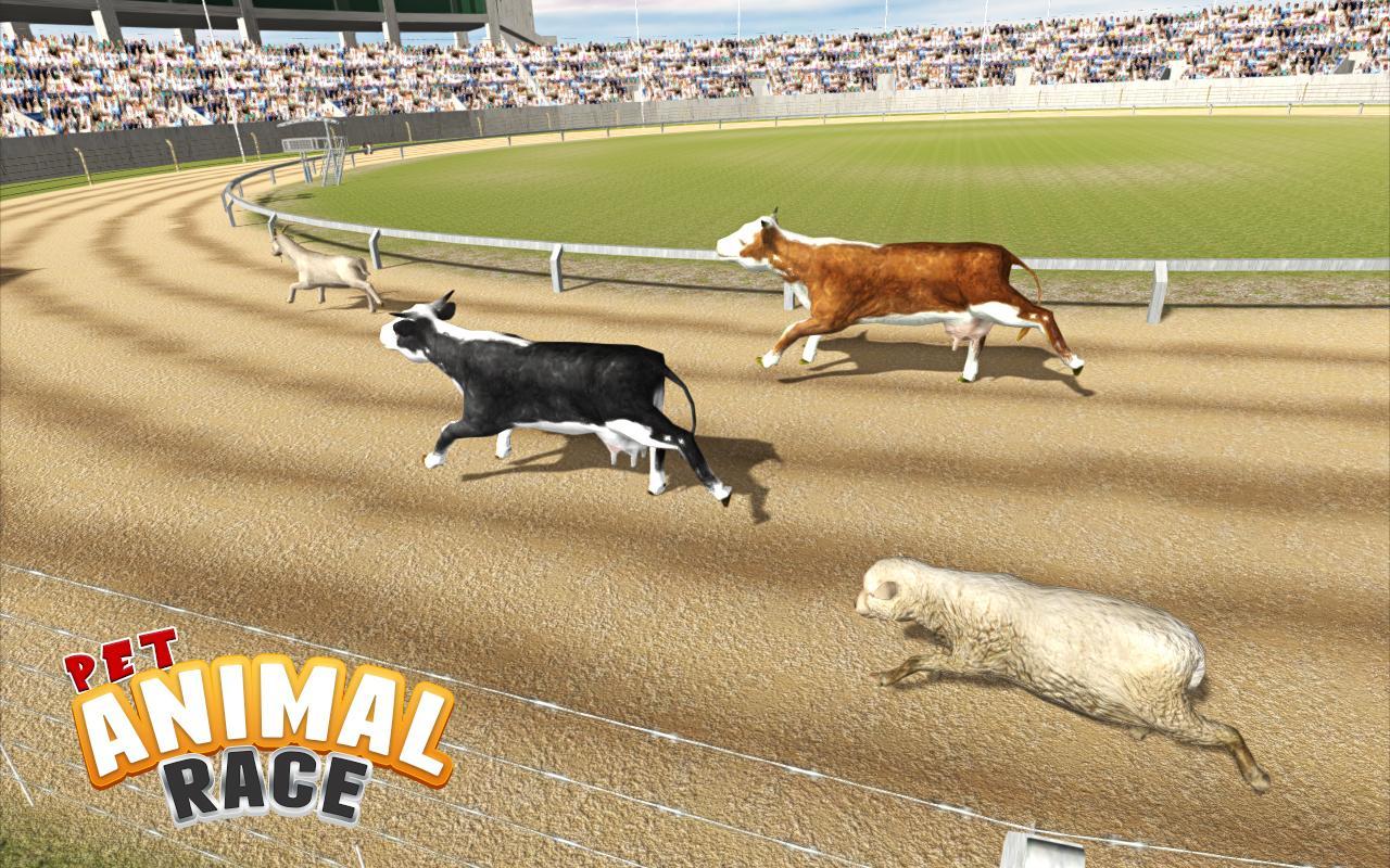 Animal race. Animals Race.