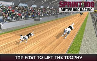Course de chien de Sprint: pistes de course d'aven capture d'écran 3
