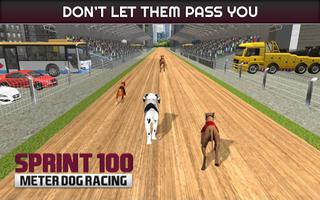 Course de chien de Sprint: pistes de course d'aven capture d'écran 1