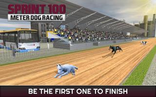 Course de chien de Sprint: pistes de course d'aven capture d'écran 2