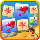 Trouver un couple de cartes APK