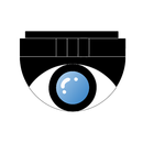 Sbox X External Monitor APK