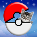 Pocket Cats GO APK