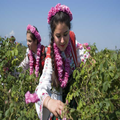 Sweet Bulgarian Songs