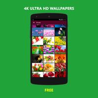 4K Ultra HD Wallpapers screenshot 1