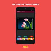 4K Ultra HD Wallpapers screenshot 2