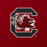 Gamecocks icon