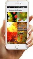 Autumn Wallpaper Affiche