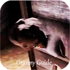 Guide For Granny আইকন