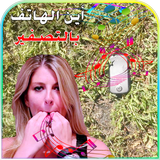اين الهاتف - اين الجوال biểu tượng