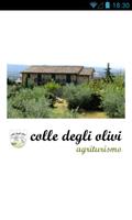 Colle degli Olivi, Assisi পোস্টার