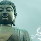 The Buddha and his Dhamma biểu tượng