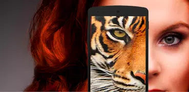 What animal simulator