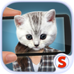 Face scanner: What cat 2