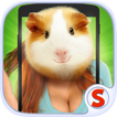 Digitalizador Face: hamster