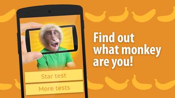 Face scanner: What Monkey Affiche