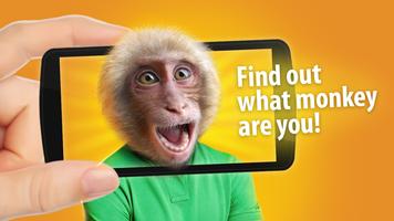 Face scanner: What Monkey capture d'écran 2