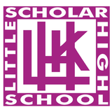 Little Scholar High School icône