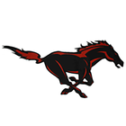Icona Edgewood Mustangs Athletics