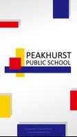 Peakhurst Public School ポスター
